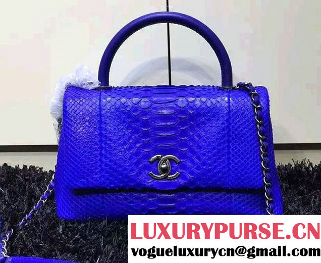 Chanel Python and Lambskin Flap Large Bag with Handle A93279 Blue 2016