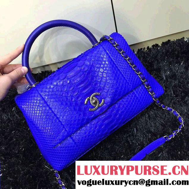 Chanel Python and Lambskin Flap Large Bag with Handle A93279 Blue 2016