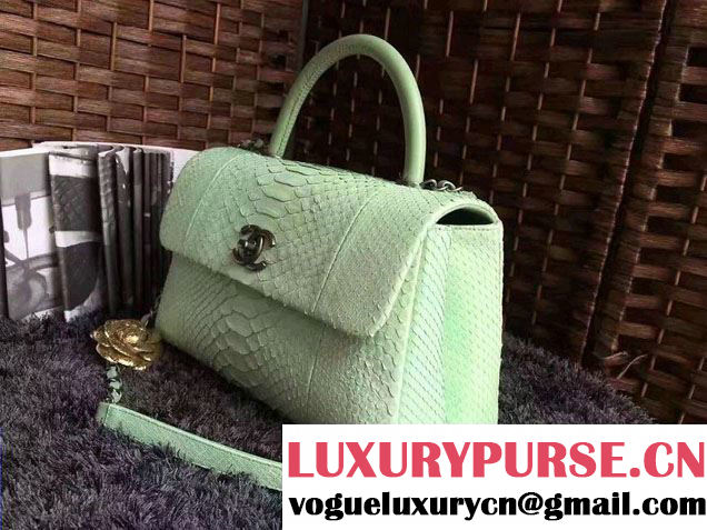 Chanel Python Coco Top Handle Flap Shoulder Large Bag A93279 2017