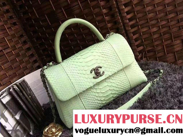 Chanel Python Coco Top Handle Flap Shoulder Large Bag A93279 2017