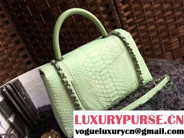 Chanel Python Coco Top Handle Flap Shoulder Large Bag A93279 2017