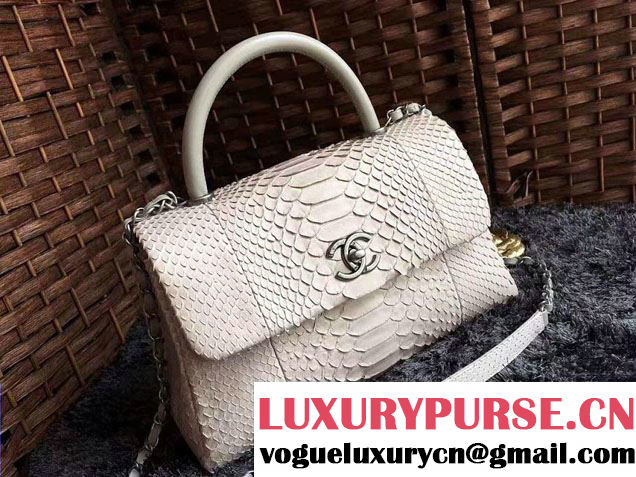 Chanel Python Coco Top Handle Flap Shoulder Large Bag A93279 2017
