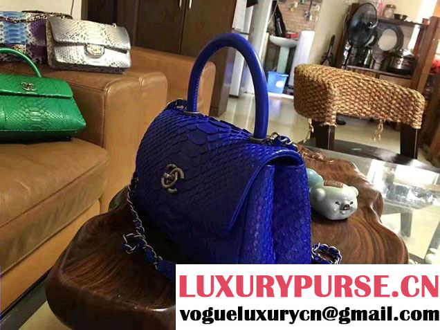 Chanel Python Coco Top Handle Flap Shoulder Small Bag A93050 2017