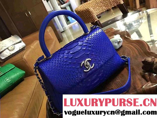 Chanel Python Coco Top Handle Flap Shoulder Small Bag A93050 2017