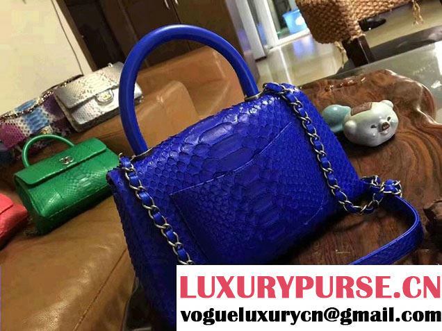 Chanel Python Coco Top Handle Flap Shoulder Small Bag A93050 2017