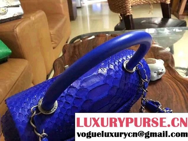 Chanel Python Coco Top Handle Flap Shoulder Small Bag A93050 2017