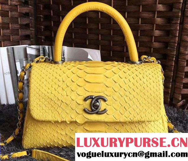 Chanel Python Coco Top Handle Flap Shoulder Small Bag A93050 2017