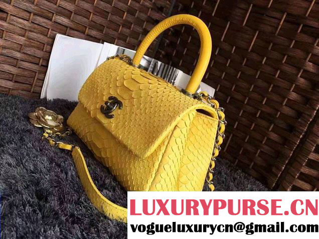 Chanel Python Coco Top Handle Flap Shoulder Small Bag A93050 2017