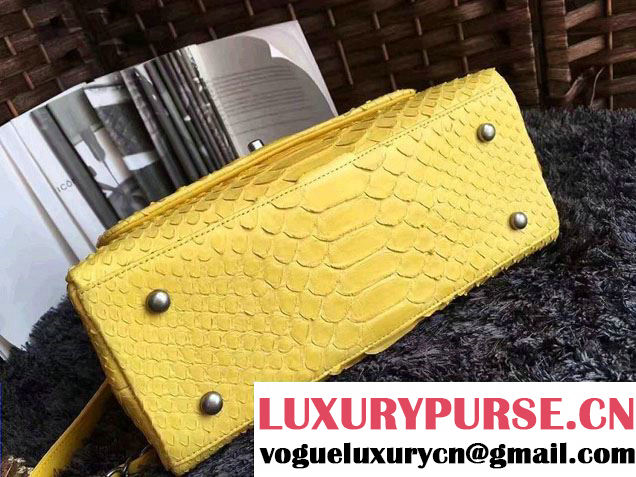Chanel Python Coco Top Handle Flap Shoulder Small Bag A93050 2017