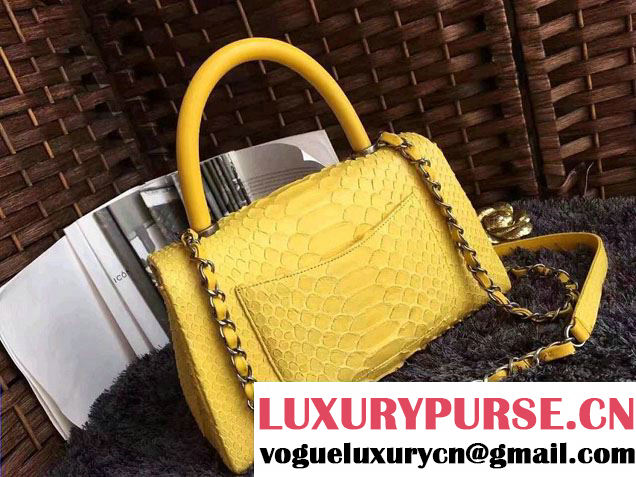 Chanel Python Coco Top Handle Flap Shoulder Small Bag A93050 2017