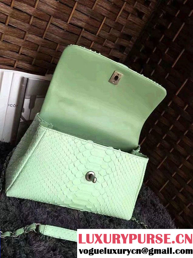 Chanel Python Coco Top Handle Flap Shoulder Small Bag A93050 2017