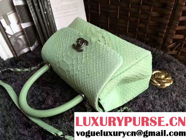 Chanel Python Coco Top Handle Flap Shoulder Small Bag A93050 2017