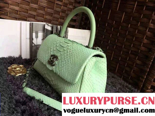Chanel Python Coco Top Handle Flap Shoulder Small Bag A93050 2017