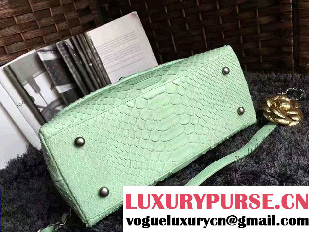 Chanel Python Coco Top Handle Flap Shoulder Small Bag A93050 2017