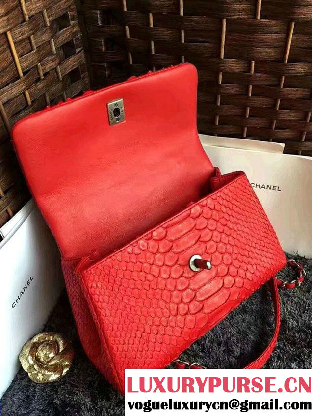 Chanel Python Coco Top Handle Flap Shoulder Small Bag A93050 2017