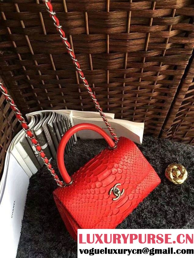 Chanel Python Coco Top Handle Flap Shoulder Small Bag A93050 2017