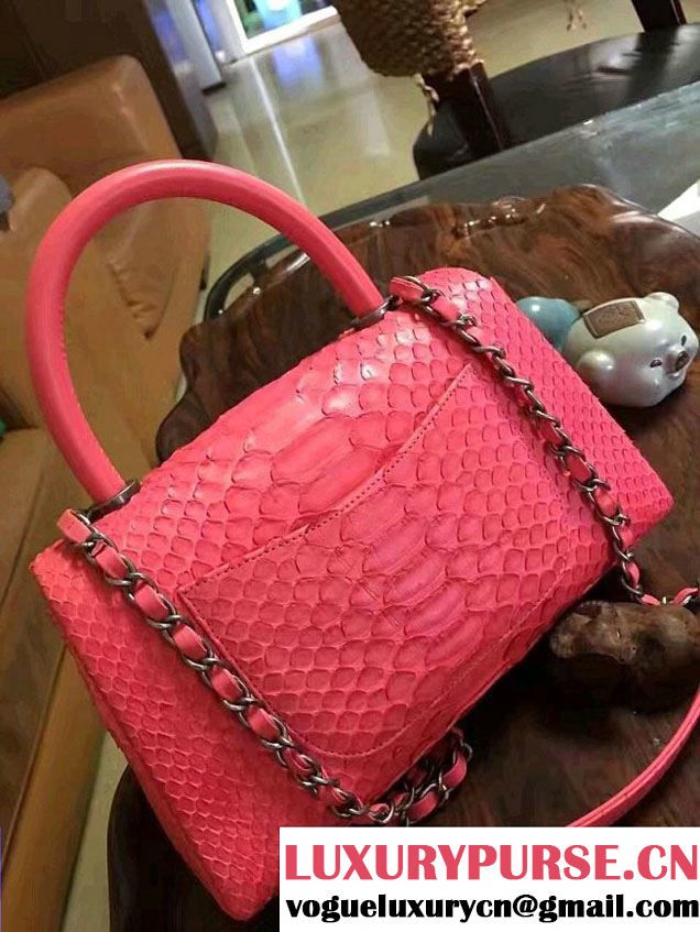 Chanel Python Coco Top Handle Flap Shoulder Small Bag A93050 2017