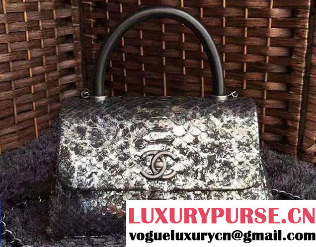 Chanel Python Coco Top Handle Flap Shoulder Small Bag A93050 2017