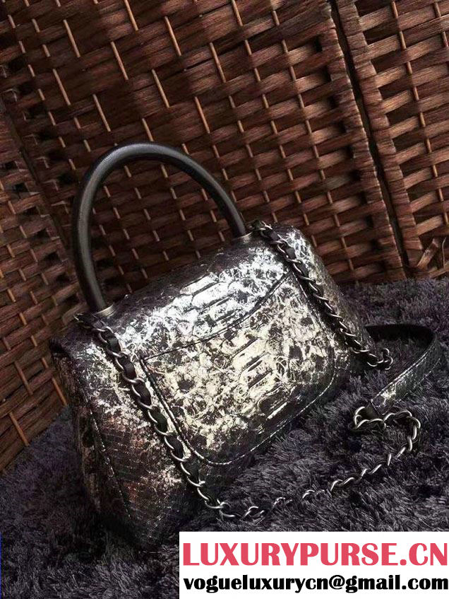 Chanel Python Coco Top Handle Flap Shoulder Small Bag A93050 2017