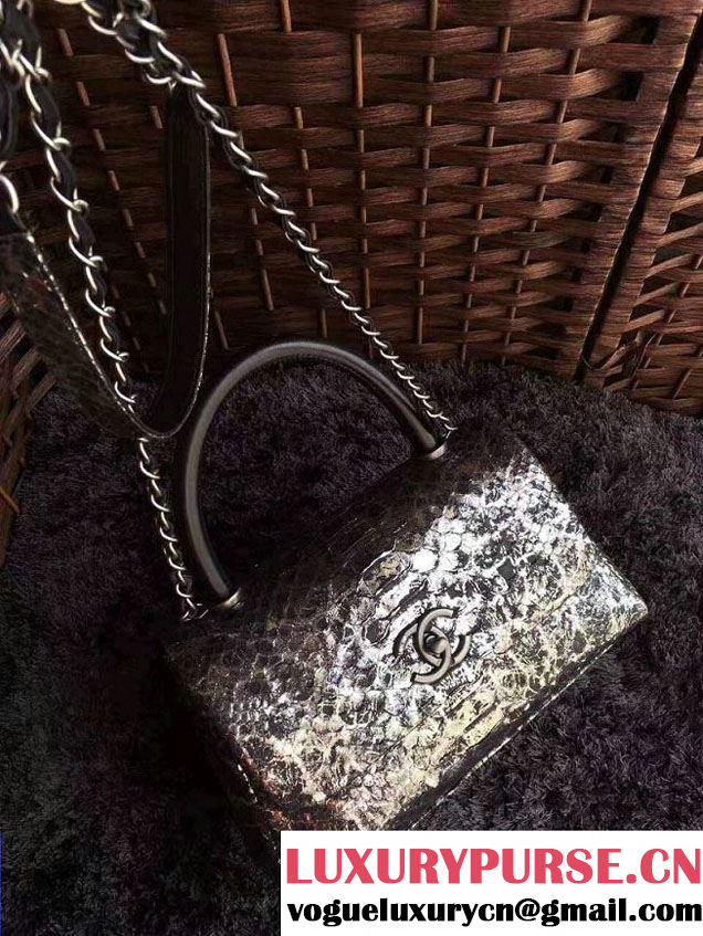 Chanel Python Coco Top Handle Flap Shoulder Small Bag A93050 2017