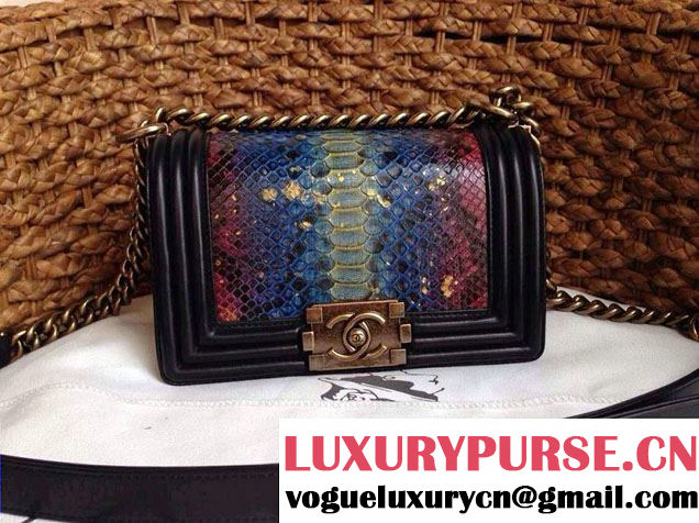 Chanel Le Boy Flap Bag in Python Leather