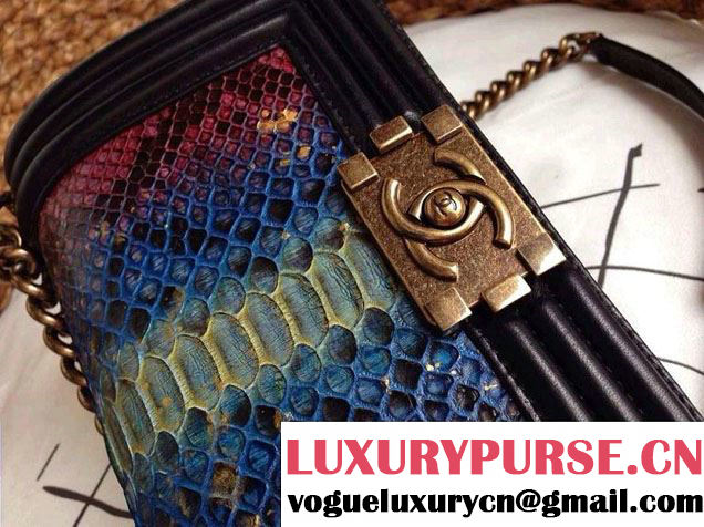 Chanel Le Boy Flap Bag in Python Leather