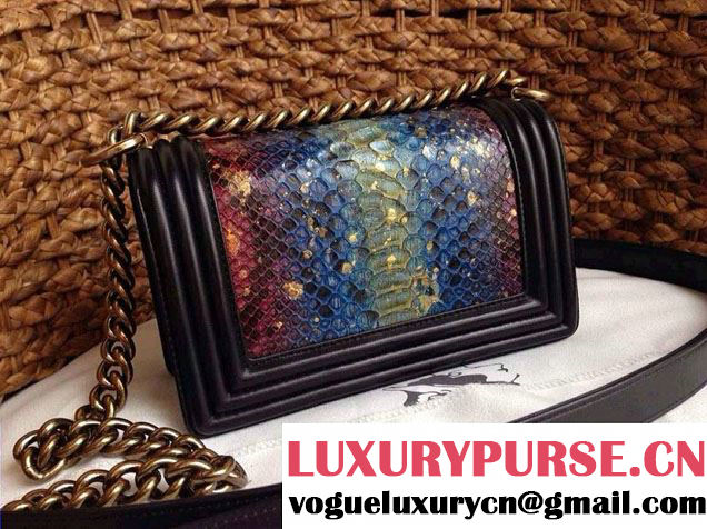 Chanel Le Boy Flap Bag in Python Leather
