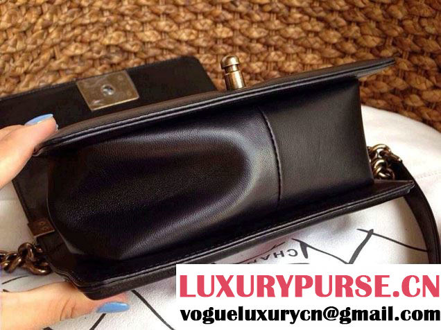 Chanel Le Boy Flap Bag in Python Leather