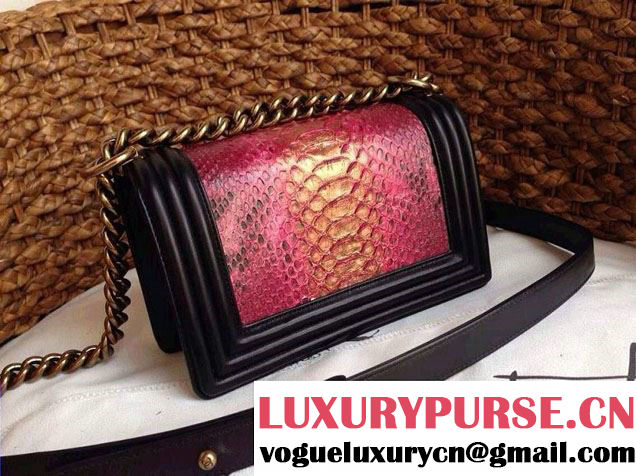 Chanel Le Boy Flap Bag in Python Leather