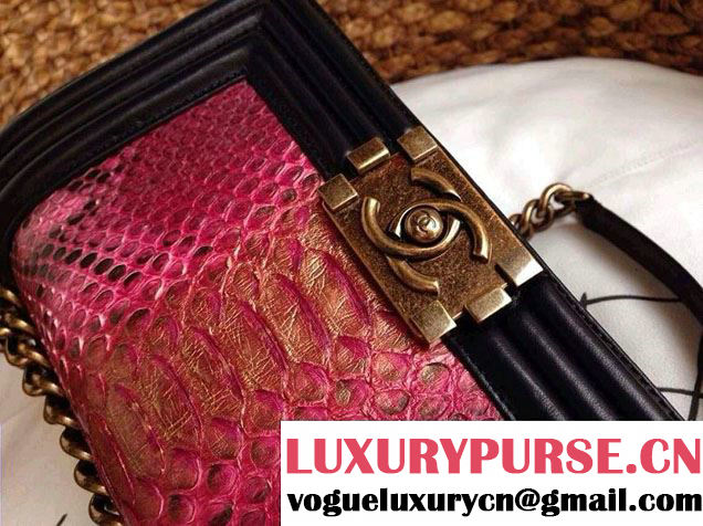 Chanel Le Boy Flap Bag in Python Leather