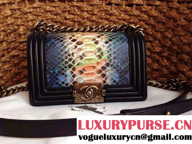 Chanel Le Boy Flap Bag in Python Leather