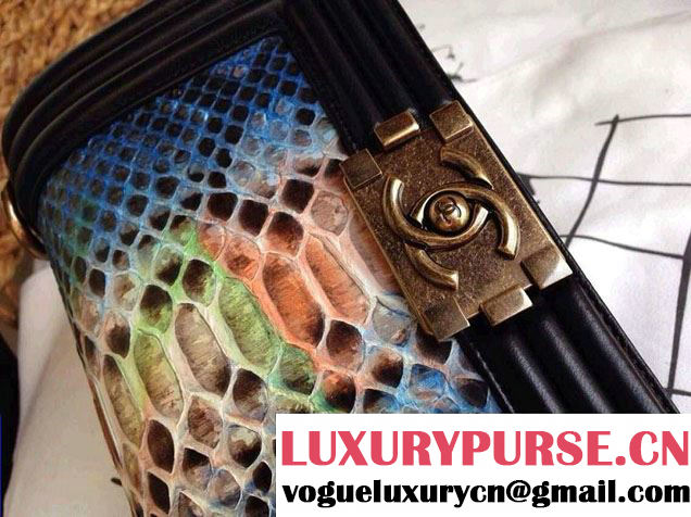 Chanel Le Boy Flap Bag in Python Leather
