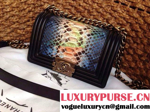 Chanel Le Boy Flap Bag in Python Leather