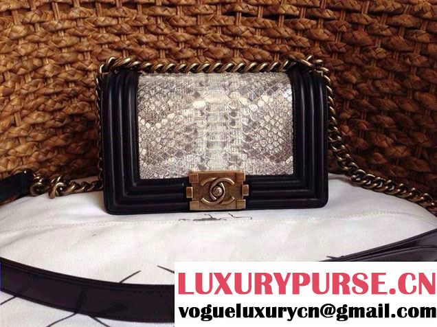 Chanel Le Boy Flap Bag in Python Leather