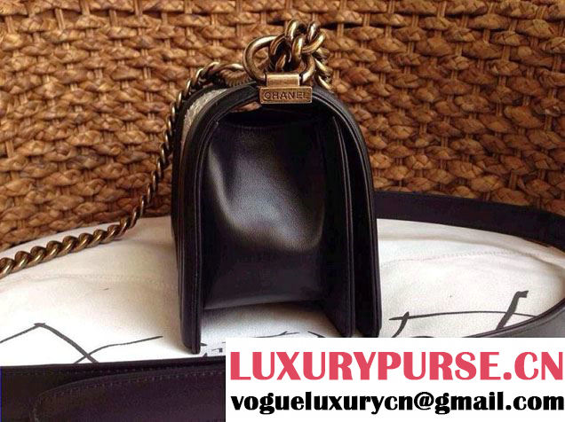 Chanel Le Boy Flap Bag in Python Leather
