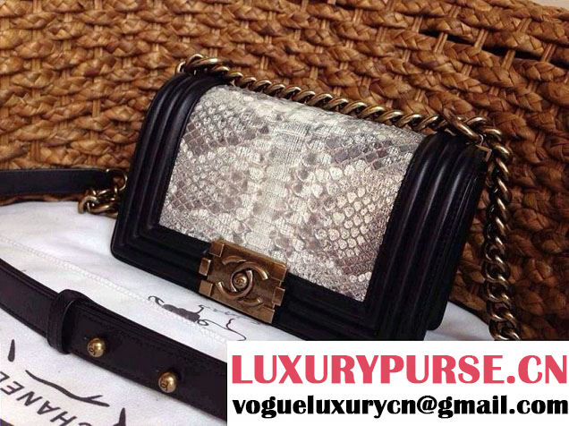 Chanel Le Boy Flap Bag in Python Leather