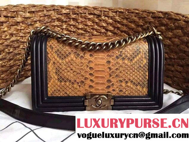 Chanel Le Boy Flap Bag in Python Leather 2015