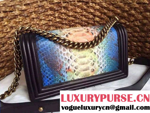 Chanel Le Boy Flap Bag in Python Leather 2015
