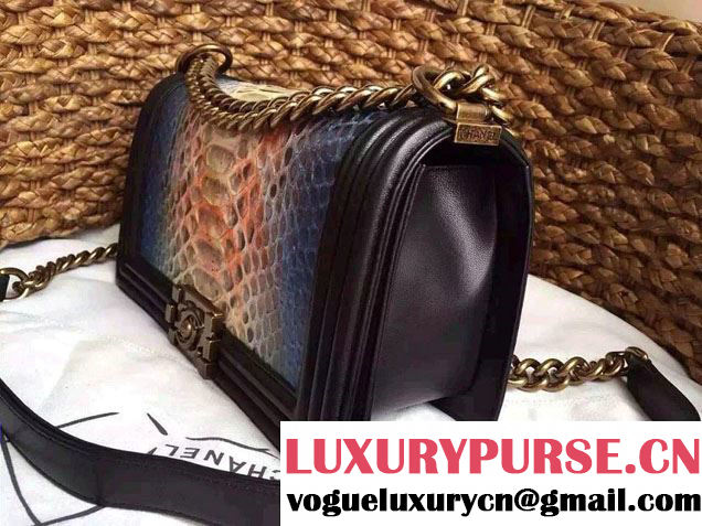 Chanel Le Boy Flap Bag in Python Leather 2015