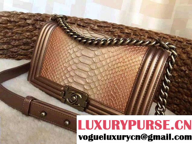 Chanel Le Boy Flap Bag in Python Leather 2015