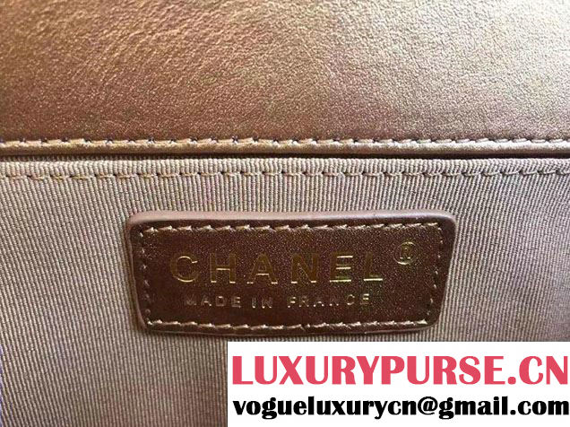 Chanel Le Boy Flap Bag in Python Leather 2015