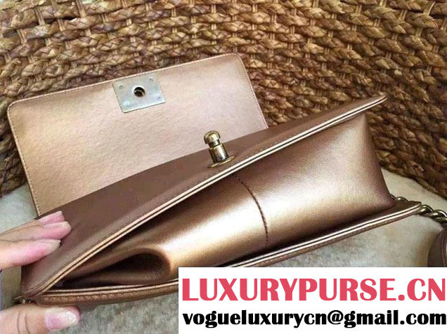 Chanel Le Boy Flap Bag in Python Leather 2015
