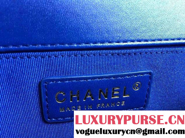 Chanel Le Boy Flap Small Bag in Python Leather 2015