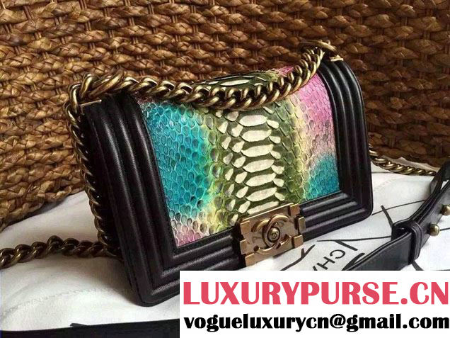 Chanel Le Boy Flap Small Bag in Python Leather 2015