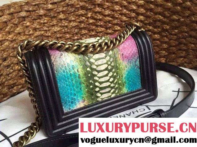 Chanel Le Boy Flap Small Bag in Python Leather 2015