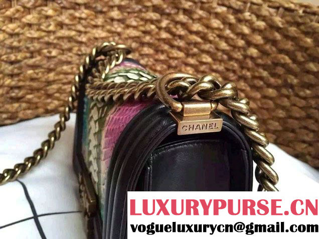 Chanel Le Boy Flap Small Bag in Python Leather 2015