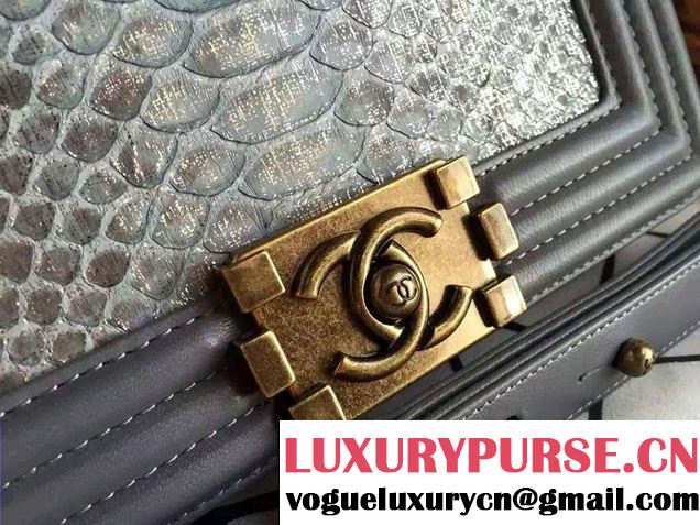 Chanel Le Boy Flap Small Bag in Python Leather 2015
