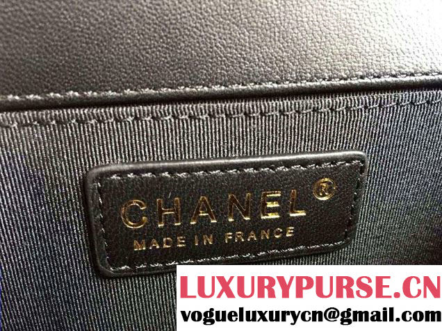 Chanel Le Boy Flap Small Bag in Python Leather 2015