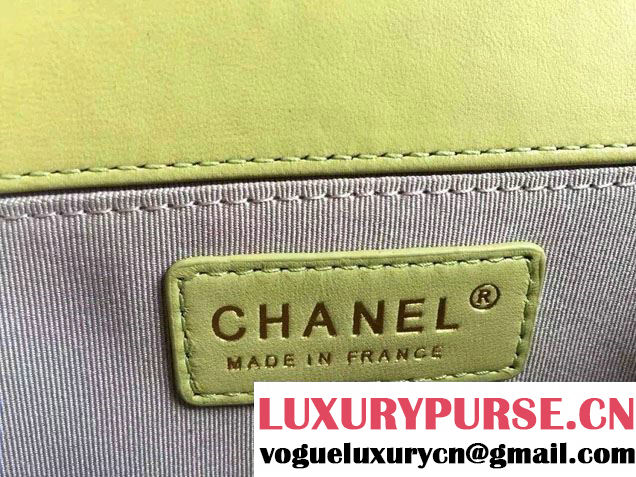 Chanel Le Boy Flap Small Bag in Python Leather 2015