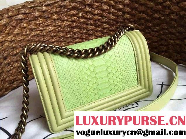 Chanel Le Boy Flap Small Bag in Python Leather 2015